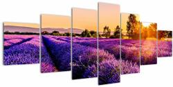 Mivali Tablou cu câmp de lavanda, din șapte bucăți 210x100 cm (V020540V210100)