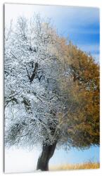 Mivali Tablou - Schimbarea anotimpurilor, dintr-o bucată 20x30 cm (V023329V2030)