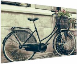 Mivali Tablou - Bicicleta de epocă cu flori, dintr-o bucată 150x100 cm (V023413V150100)