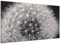 Mivali Tablou cu păpădie, dintr-o bucată 120x70 cm (V021226V12070)