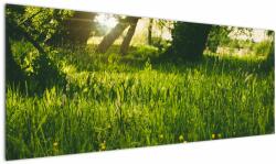 Mivali Tablou cu natura - lunca, dintr-o bucată 145x58 cm (V020157V14558)