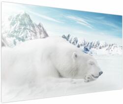 Mivali Tablou - Urs polar, dintr-o bucată 150x100 cm (V022322V150100)