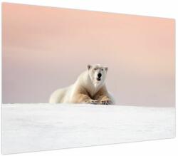 Mivali Tablou - Urs polar, dintr-o bucată 100x70 cm (V023979V10070)