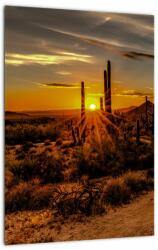 Mivali Tablou - Sfărșit de zi în deșertul Arizona, dintr-o bucată 30x40 cm (V021638V3040)