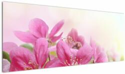 Mivali Tablou - Flori roz, dintr-o bucată 145x58 cm (V022529V14558)