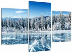 Mivali Tablou cu lacul înghețat și copacii înzăpeziți, din trei bucăți 90x60 cm (V021299V90603PCS)