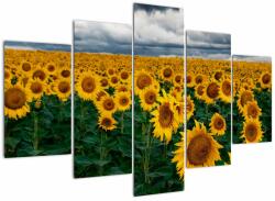 Mivali Tablou câmpului de floarea soarelui, din cinci bucăți 150x105 cm (V020662V150105)