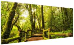 Mivali Tablou junglei cu mușchi, dintr-o bucată 250x125 cm (V022161V250125)