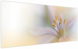 Mivali Tablou - Floare fragedă, dintr-o bucată 120x50 cm (V023954V12050)
