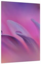 Mivali Tablou - Picătură pe floare, dintr-o bucată 30x40 cm (V024022V3040)