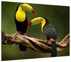Mivali Tablou pe sticlă tucani sezând , Costa Rica, dintr-o bucată 70x50 cm pe sticlă (V021775V7050GD)