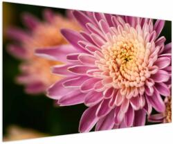 Mivali Tablou detailat cu flori, dintr-o bucată 150x100 cm (V020238V150100)