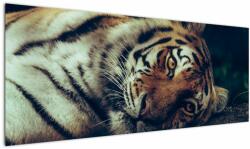 Mivali Tablou - Tigrul Siberian, dintr-o bucată 145x58 cm (V021668V14558)