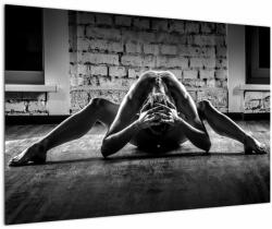 Mivali Tablou - Nud artistic al unei femei, dintr-o bucată 90x60 cm (V023495V9060)