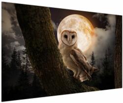 Mivali Tablou cu bufnița, dintr-o bucată 150x100 cm (V022174V150100)
