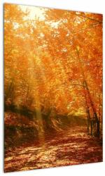 Mivali Tablou cu pădurea în toamnă, dintr-o bucată 50x70 cm (V021203V5070)
