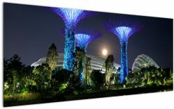 Mivali Tablou cu lună plină în grădinile din Singapur, dintr-o bucată 120x50 cm (V021710V12050)