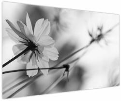 Mivali Tablou - Flori alb-negru, dintr-o bucată 150x100 cm (V023782V150100)
