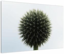 Mivali Tablou - Sfere de flori, dintr-o bucată 90x60 cm (V022586V9060)