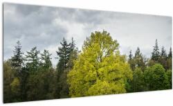 Mivali Tablou - Copac verde în câmp, dintr-o bucată 100x40 cm (V022540V10040)