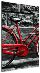 Mivali Tablou - Bicicleta istorică, dintr-o bucată 60x90 cm (V021989V6090)
