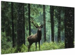 Mivali Tablou - Cerb în pădurea adâncă, dintr-o bucată 120x70 cm (V023758V12070)