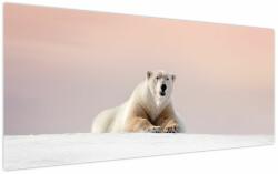 Mivali Tablou - Urs polar, dintr-o bucată 120x50 cm (V023979V12050)
