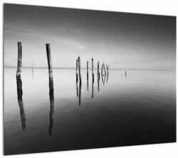 Mivali Tablou cu nivelul de lac alb negru, dintr-o bucată 70x50 cm (V022032V7050)