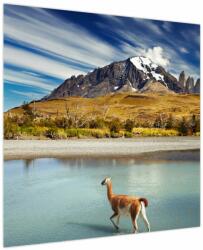 Mivali Tablou - Parcul Național Torres del Paine, dintr-o bucată 70x70 cm (V023745V7070)