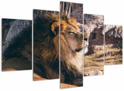 Mivali Tablou cu leul dormind, din cinci bucăți 150x105 cm (V021249V150105)
