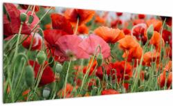 Mivali Tablou din câmp cu maci, dintr-o bucată 100x40 cm (V021722V10040)