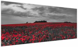 Mivali Tablou cu maci, dintr-o bucată 250x125 cm (V020987V250125)