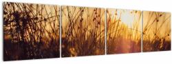 Mivali Tablou - Câmp la apus de soare, din patru bucăți 160x40 cm (V022568V16040)