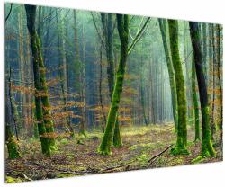 Mivali Tablou cu pădure, dintr-o bucată 120x80 cm (V020904V12080)