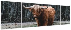 Mivali Tablou - Vacă scoțiană 2, din trei bucăți 170x50 cm (V023931V17050)