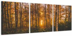Mivali Tablou - Pădurea toamna, din trei bucăți 90x30 cm (V022643V9030)