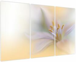 Mivali Tablou - Floare fragedă, din trei bucăți 120x80 cm (V023954V120803PCS)