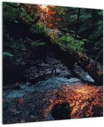 Mivali Tablou cu râu montan, dintr-o bucată 50x50 cm (V020254V5050)
