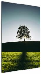 Mivali Tablou cu natura - copac, dintr-o bucată 60x90 cm (V020162V6090)