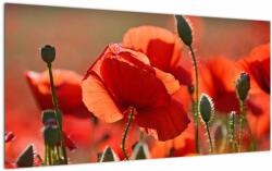 Mivali Tablou pe sticlă cu flori de maci, dintr-o bucată 100x50 cm pe sticlă (V020267V10050GD)