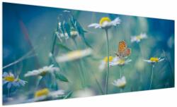 Mivali Tablou - Fluture pe margaretă, dintr-o bucată 250x125 cm (V023330V250125)