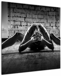 Mivali Tablou cu nud de femeie, dintr-o bucată 70x70 cm (V022012V7070)