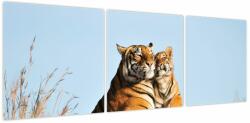 Mivali Tablou - Tigroaica cu pui, din trei bucăți 120x40 cm (V023667V12040)