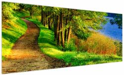 Mivali Tablou - poteci pe malul apei, dintr-o bucată 250x125 cm (V021746V250125)