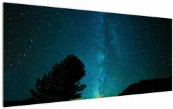Mivali Tablou cu cerul nocturn și stele, dintr-o bucată 120x50 cm (V021100V12050)