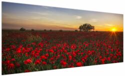 Mivali Tablou cu lunca și macii, dintr-o bucată 250x125 cm (V020551V250125)