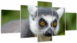 Mivali Tablou cu lemur, din cinci bucăți 150x80 cm (V021130V150805PCS)