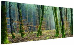 Mivali Tablou cu pădure, dintr-o bucată 250x125 cm (V020904V250125)