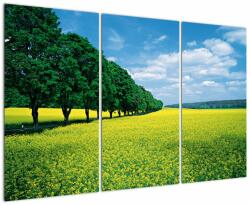 Mivali Tablou - Câmp cu alei, din trei bucăți 120x80 cm (V023225V120803PCS)