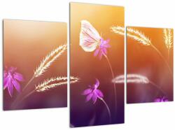 Mivali Tablou - Fluture roz, din trei bucăți 90x60 cm (V022365V90603PCS)